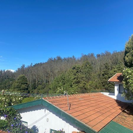 The Tamarillo Bed & Breakfast Ooty Eksteriør bilde
