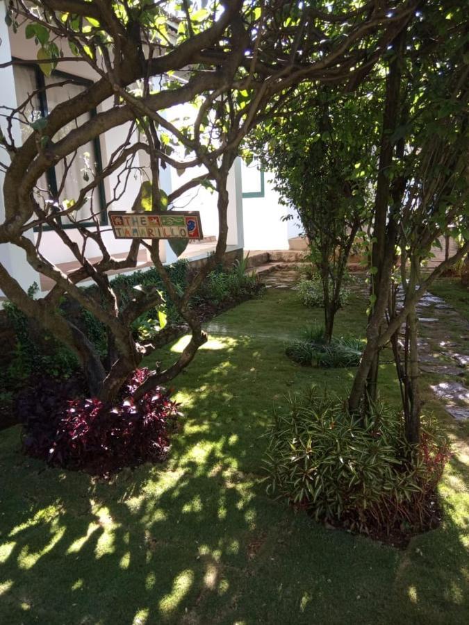 The Tamarillo Bed & Breakfast Ooty Eksteriør bilde