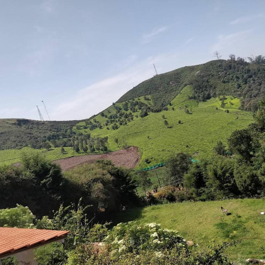 The Tamarillo Bed & Breakfast Ooty Eksteriør bilde