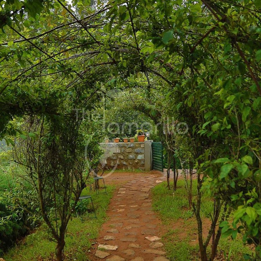 The Tamarillo Bed & Breakfast Ooty Eksteriør bilde